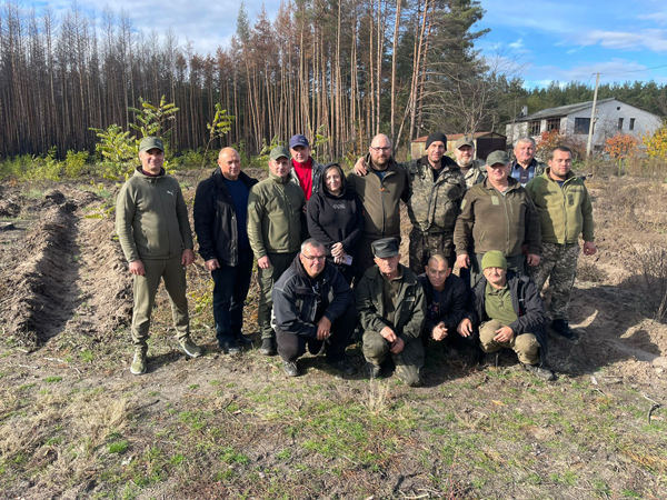 Висадка сосен